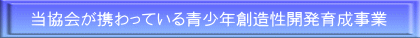 当協会が携わっている青少年創造性開発育成事業
